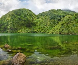 The Caribbean Islands Actually Growing While Everyone Watches The Big Names - Caribbean Entertainment Roundup – Reggae, Dancehall, Soca And More